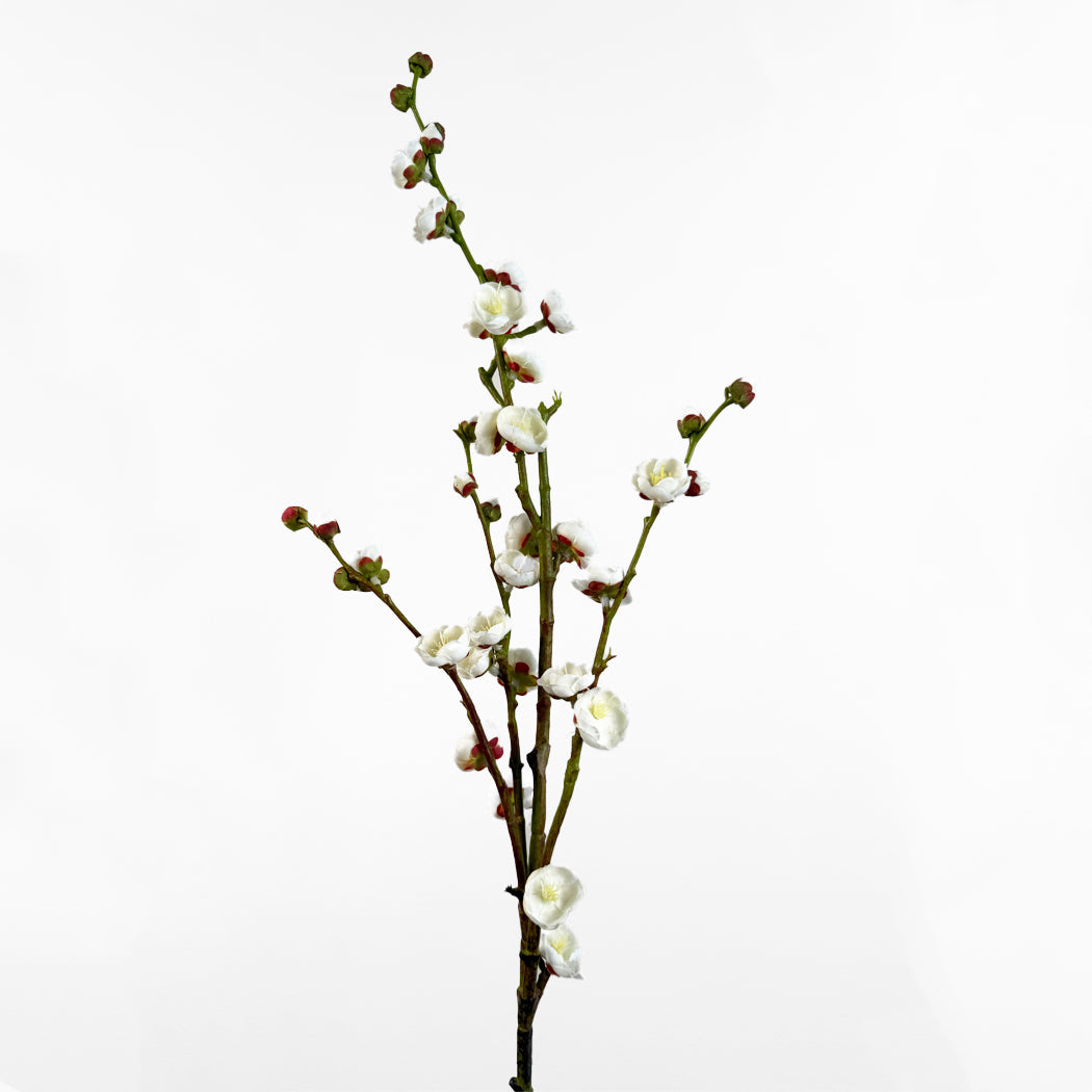 KOART| Chimonanthus Λευκό Τεχνητό Λουλούδι 1 τμχ. 86 cm