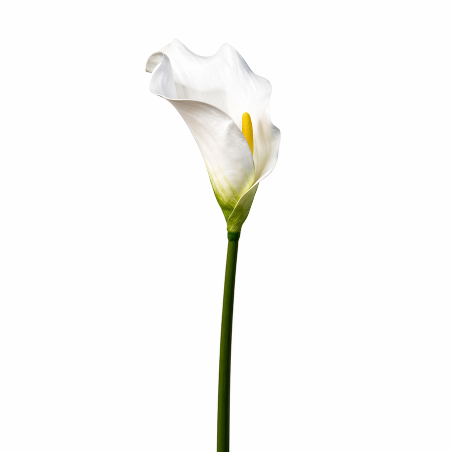 KOART| Krinos Λευκό Τεχνητό Λουλούδι Real Touch 64.5 cm 1τμχ.